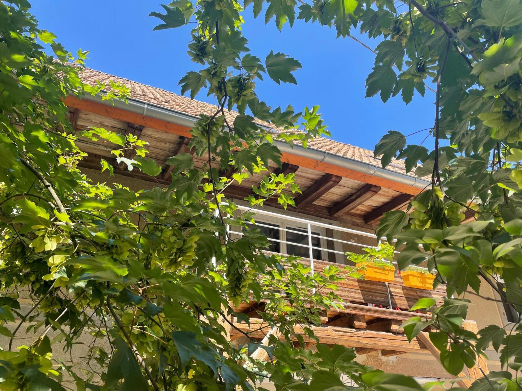 Ferienwohnung La Grange De Sophie Berstett Exterior foto